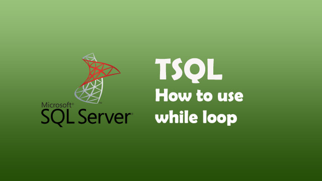How to use while loop in Sql Server?