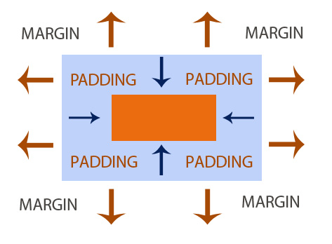 CSS Margin and Padding